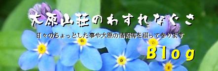 ブログへ!