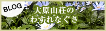 BLOG �匴�R���̂킷��Ȃ���